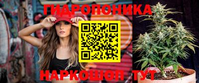 круглые Лесосибирск