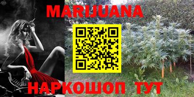 круглые Лесосибирск